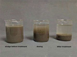 Selection on the charge degree of polyacrylamide