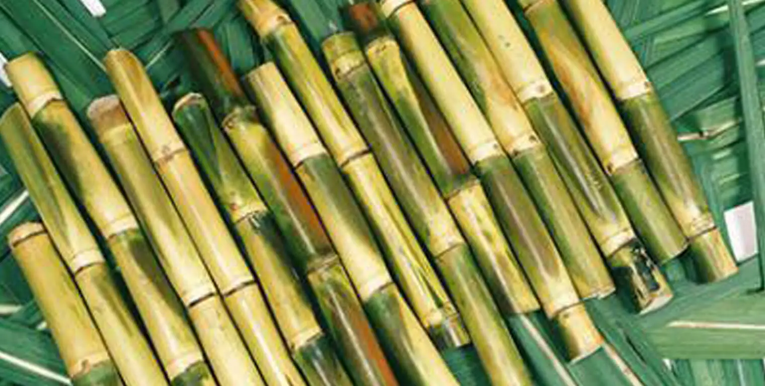 Clarification of the Cane Juice